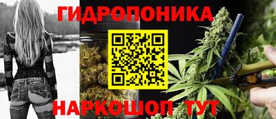 ПСИЛОЦИБИНОВЫЕ ГРИБЫ Изобильный