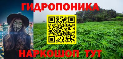 ПСИЛОЦИБИНОВЫЕ ГРИБЫ Изобильный