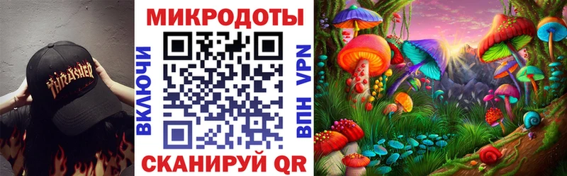 Галлюциногенные грибы Psilocybine cubensis даркнет сайт мега tor Кашира