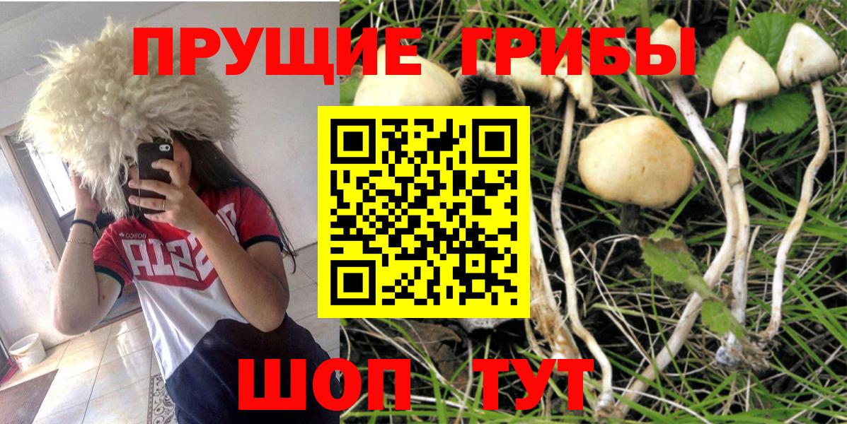 Кашира  Галлюциногенные грибы мицелий  Вход с VPN 
